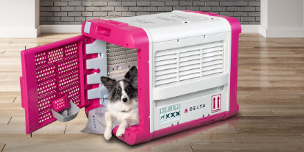 delta pet transport